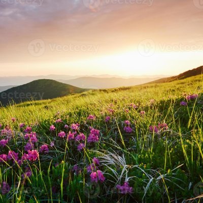 Gardemi14's profile picture. comfy day~