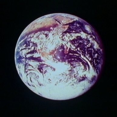 snovaova's profile picture. no brain blockchain degen