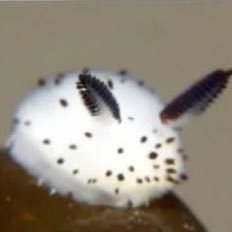 th3bunni3x's profile picture. Yo fav loser Goth Chick 💗🦇✨ I only created sfw content peeps stop asking