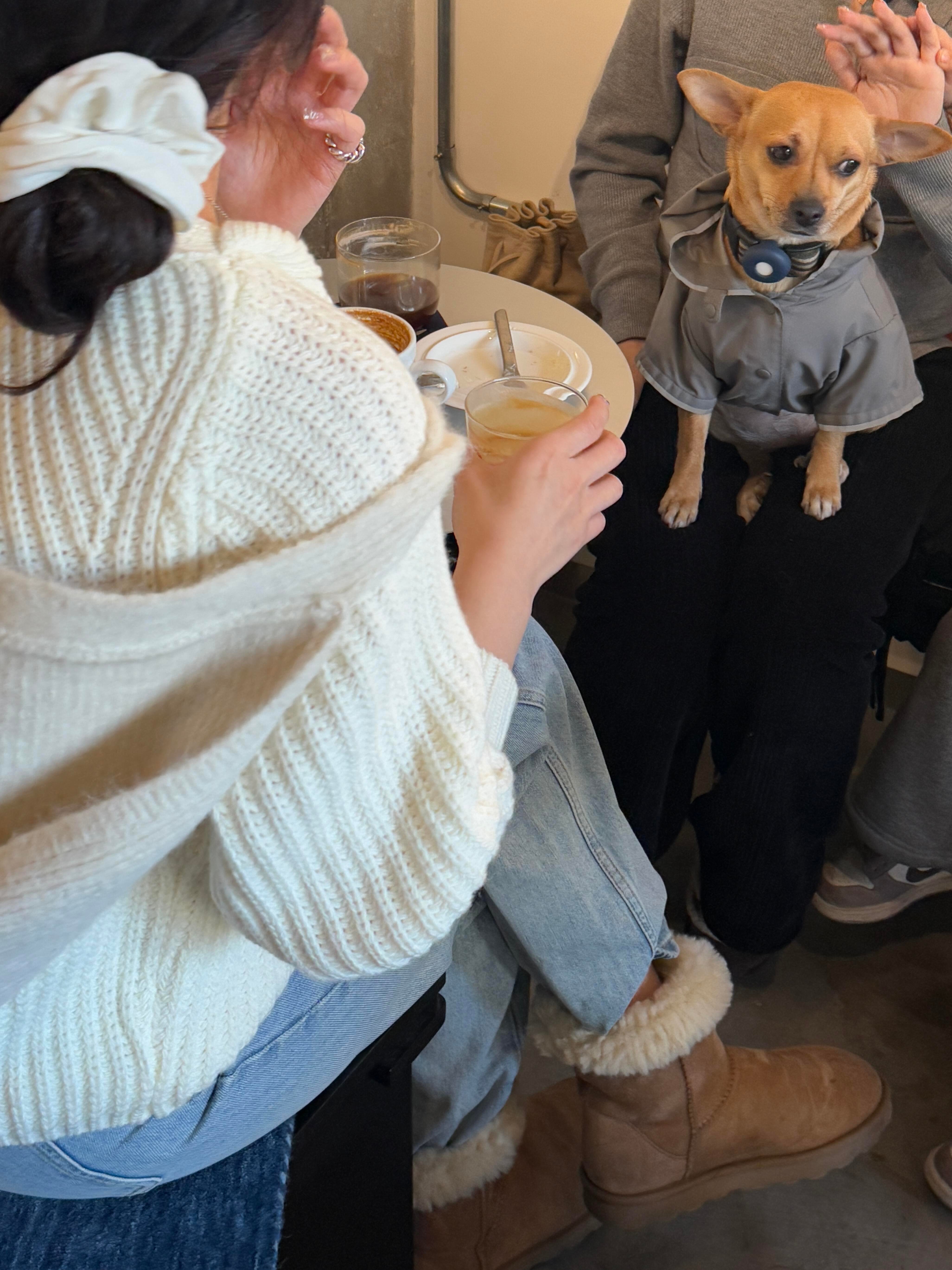 Kokot188358's profile picture. 