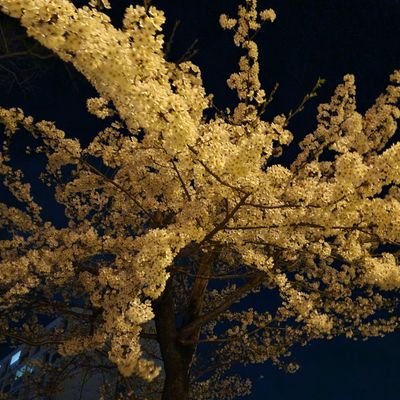 minbgYVyrm35273's profile picture. 