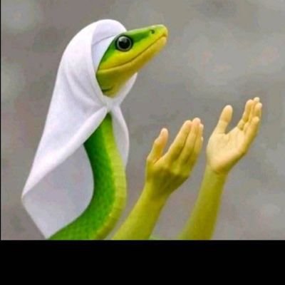 dcodedboii's profile picture. New beginnings are always tough but beautiful | #CFC