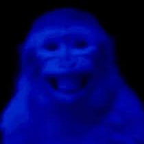 krahehund's profile picture. | Fursuit making acc @SlaughterdHound | 🪶 Goth + Fursuiter |