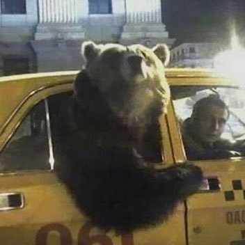 decentralal's profile picture. NFA. DYOR.