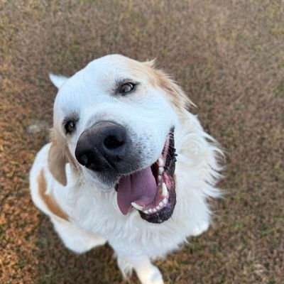 Rkhodario's profile picture. 