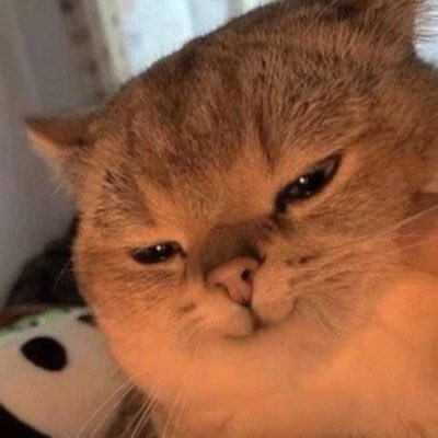 Meiwenhu's profile picture. 