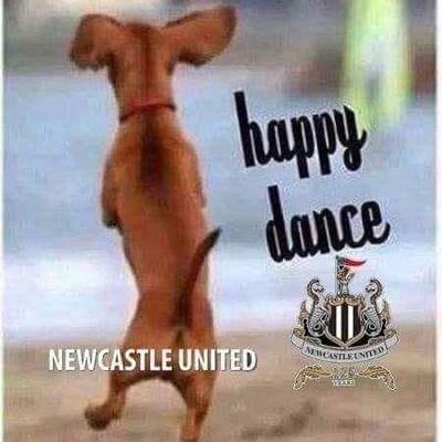 Sukki1975's profile picture. Season ticket holder at SJP. #NUFC Trophy Winners 2025 🖤🤍🏆
That's it. Nothing else is relevant on here.