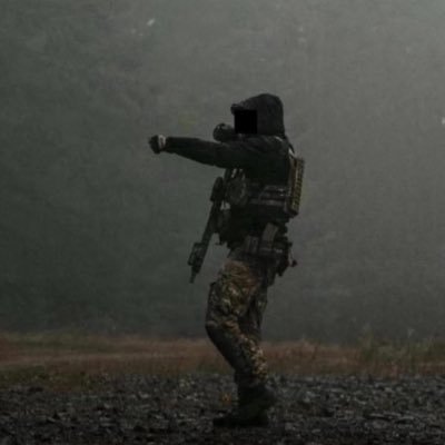 Pubwars's profile picture. IDK @Endurance_es