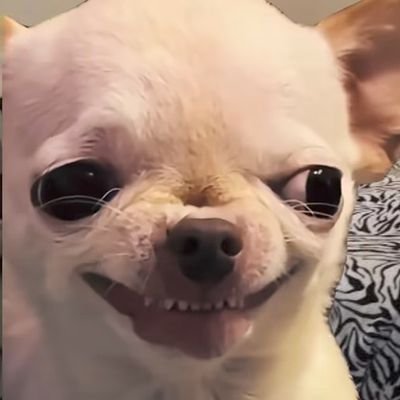 realslimjuane's profile picture. People Who Like This Sort of Thing Will Find This the Sort of Thing They Like. Silenciador serial. Lord of decretazos, memes and playlists.