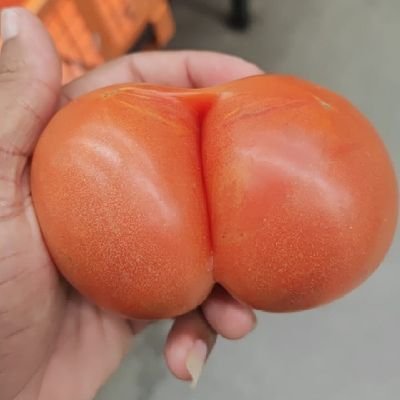 JoseNilton97921's profile picture. 