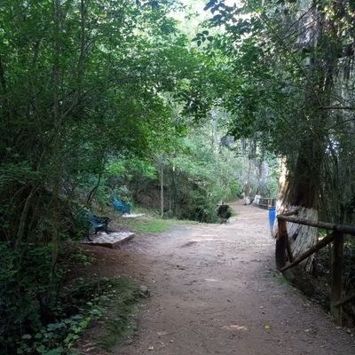 prismas2pachuca's profile picture. Un poco de aquí y de allá, pero nada grave pues...