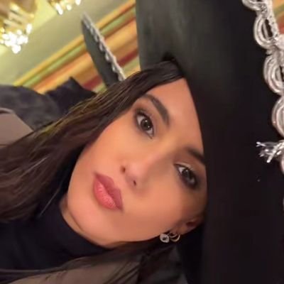 lapinguifv's profile picture. Vive y deja vivir🏳️‍🌈🇪🇦(zeudiners)💙