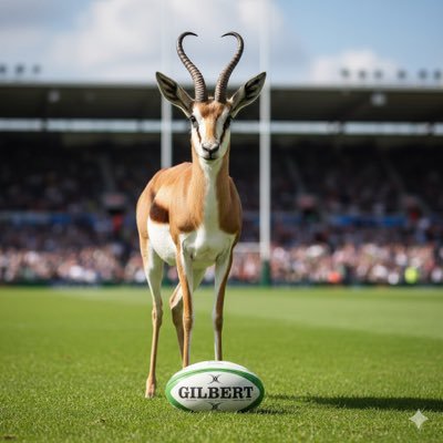 WesBez's profile picture. Random views. Atheist.  Springboks  𓃴 & Irish ☘️ Rugby. F1 🏁 Lando Norris Fan