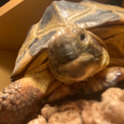 ntljnHR's profile picture. 