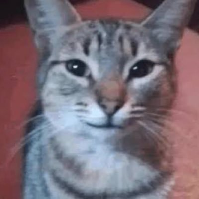 trshchef's profile picture. no