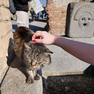 ginger_nats's profile picture. A Ramsgatonian in the Shire... Strictly, History, Bookworm, LFC, Pedantic Speller, I ALWAYS put the tea bag in first.