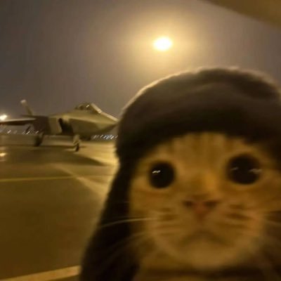 chamelins_'s profile picture. another day another slay