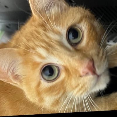 takahiro7213's profile picture. 97年生まれ 名古屋 某専門学校会計学科→某家電量販店店員→現在水道インフラ系企業。