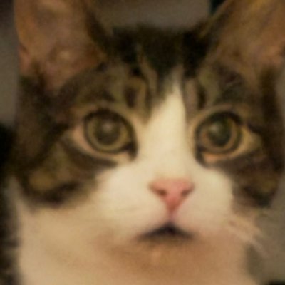 GobbyRob1970's profile picture. I like weights, reading and all sorts of music. Called back to Twitter by a dear friend. Ex Labour, now Green voter.