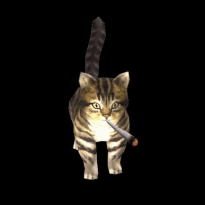 ymuunne's profile picture. ape