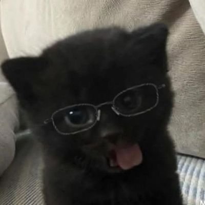 Nebulas_tweets's profile picture. 