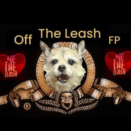 Pixie_Tooth's profile picture. I had a wonderful life
01-2009 to 06-11-2025🌈

Co-host of #OTLFP with @MillieOTLFP
#AdoptDontShop #BeKind ❤️