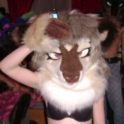 Ame🔞🦌🔜 Gdakon 2026 Profile