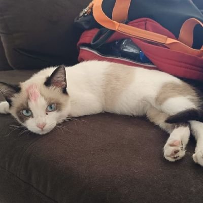 ValeSaenz8896's profile picture. La Flâneur silenciosa ~ ✨🌹