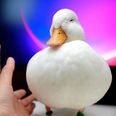 kAv9aBcA8b64598's profile picture. 