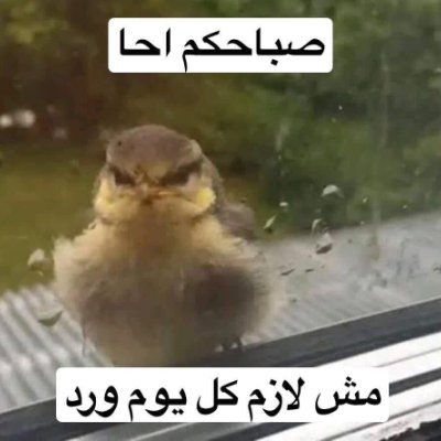 HdhaShnw22440's profile picture. 