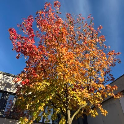 Abdallah10ma's profile picture. 💚🖤❤️ احفظ الله يحفظك..….. مُحب لكرة القدم ⚽️