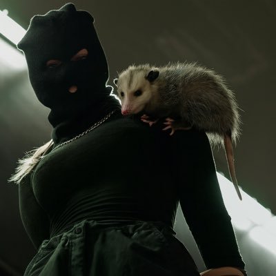 OpossumWarfare's profile picture. ᴍᴀᴠᴇɴ•Qᴜᴇᴇɴ ᴏꜰ ᴏᴘᴏꜱꜱᴜᴍꜱ•ᴡᴇᴀᴘᴏɴꜱ ᴇɴᴊᴏʏᴇʀ•ɢᴏᴏʙᴇᴛᴛᴇ•ᴀɴᴀʀᴄʜɪꜱᴛ•ɢᴜᴇʀɪʟʟᴀ ᴡᴀʀғᴀʀᴇ•ꜱᴀᴏɪʀꜱᴇ ꜰʜᴏʀéɪɢɴᴇᴀᴄʜ•ꜱʜᴇɴᴀɴɪɢᴀᴛᴏʀ•ɪʀɪꜱʜ ʟɪᴠɪɴɢ ɪɴ ᴛʜᴇ ꜱᴛᴀᴛᴇꜱ:🇮🇪ᴀʀᴛ:@battleopossum