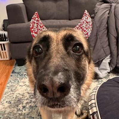 miss_morgn's profile picture. be free, be kind 🌈