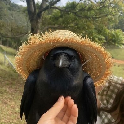 glowingmote's profile picture. i dunno