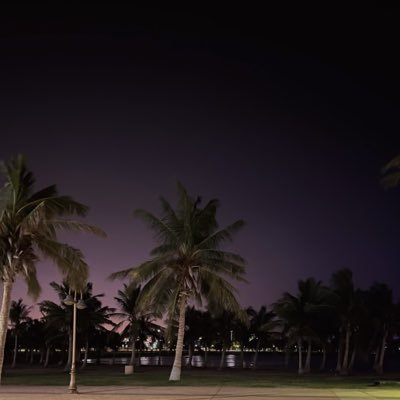 n6a_1's profile picture. دكتور جامعي قيد الإنشاء 👨🏻‍🏫.