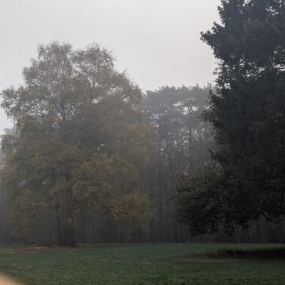 treehuggerz_'s profile picture. 