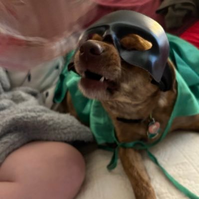 marcyheinz's profile picture. 