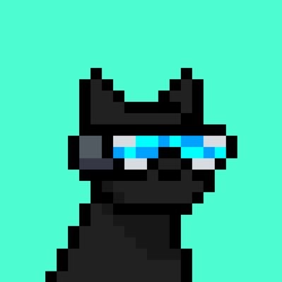 rivaura's profile picture. 