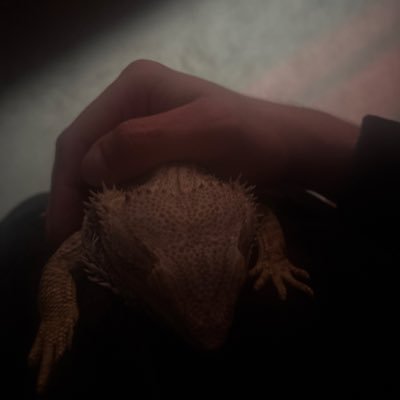 Darkcatched's profile picture. 