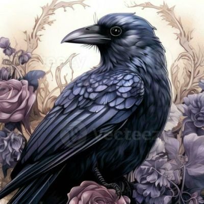 Nevermore_RAM's profile picture. 