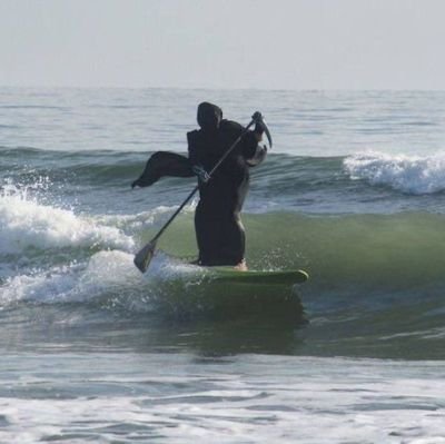 westside4lifeee's profile picture. me gusta el arte