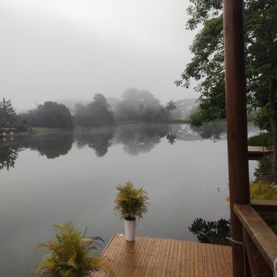 mortiz_tec's profile picture. Ingeniería 
Software 
Eléctrica 
Electrónica