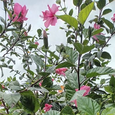 selenaro98's profile picture. El mejor de los regalos, un día más... 🔆A.J