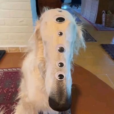 garibay727931's profile picture. I like Springtrap,  
nsfw, porn proship ETC  DNI!!