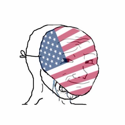 foundafraud's profile picture. calling out fake American accounts.