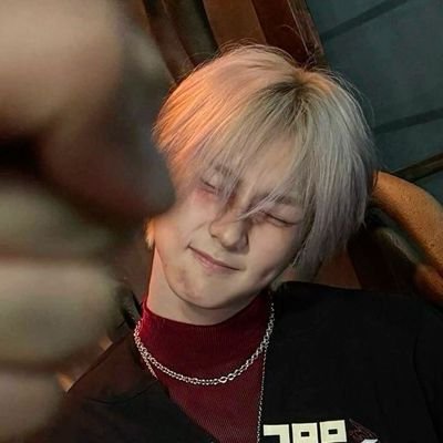 doukyuuseasons's profile picture. °•☆: 따라가, silver light.