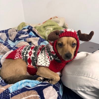 gdnyl_444's profile picture. 18. slightly right of center. priv: @gdnyl445 speak: eng, esp, cat learning: he, ru