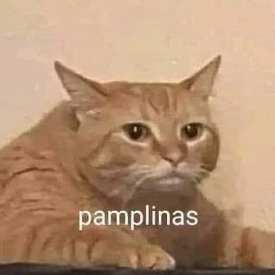 naaarva's profile picture. no se yo solo tuiteo