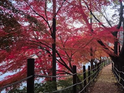 qogh6613's profile picture. 