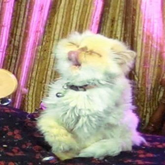 AvaRaiza__'s profile picture. delete that